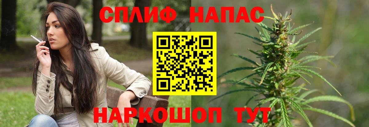 МАРИХУАНА конопля Ессентуки